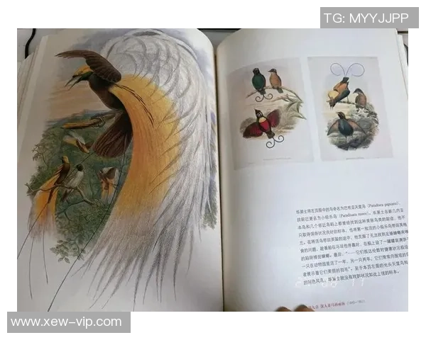 米利唐的传奇故事与历史影响探寻之旅 米利唐的传奇故事与历史影响探寻之旅