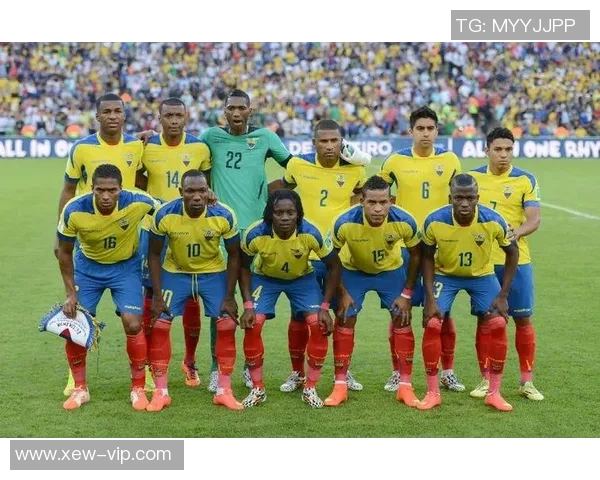 阿根廷与厄瓜多尔足球对决深度分析及比赛前瞻