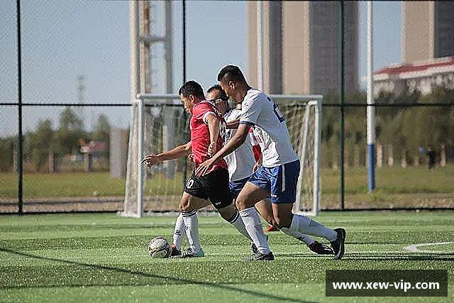 介绍emc易倍官方网址